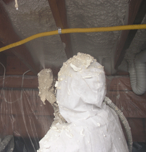 Toledo OH crawl space insulation